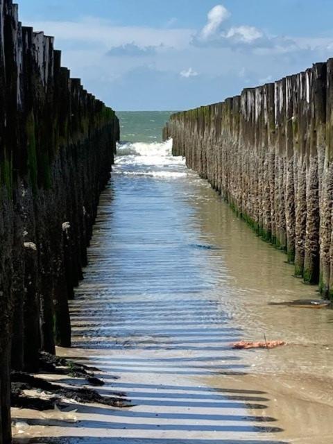 Duinstrand Burgh-Haamstede Extérieur photo